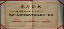 Civilized and Credible Private Company Model